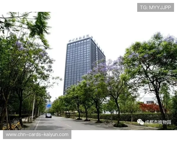 成都蓉城核心推进线路逐渐清晰,反复制造威胁 成都蓉城核心推进线路逐渐清晰,反复制造威胁